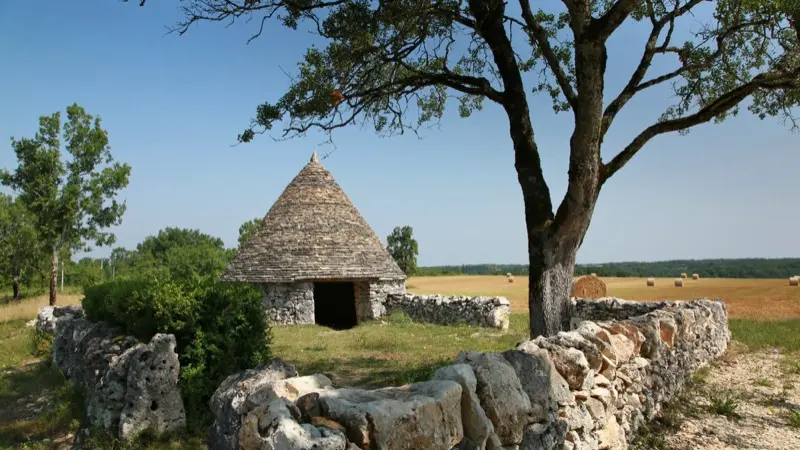Cazelle de Nouel - Lalbenque