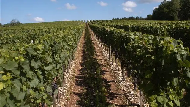 Château les Hauts d'Aglan