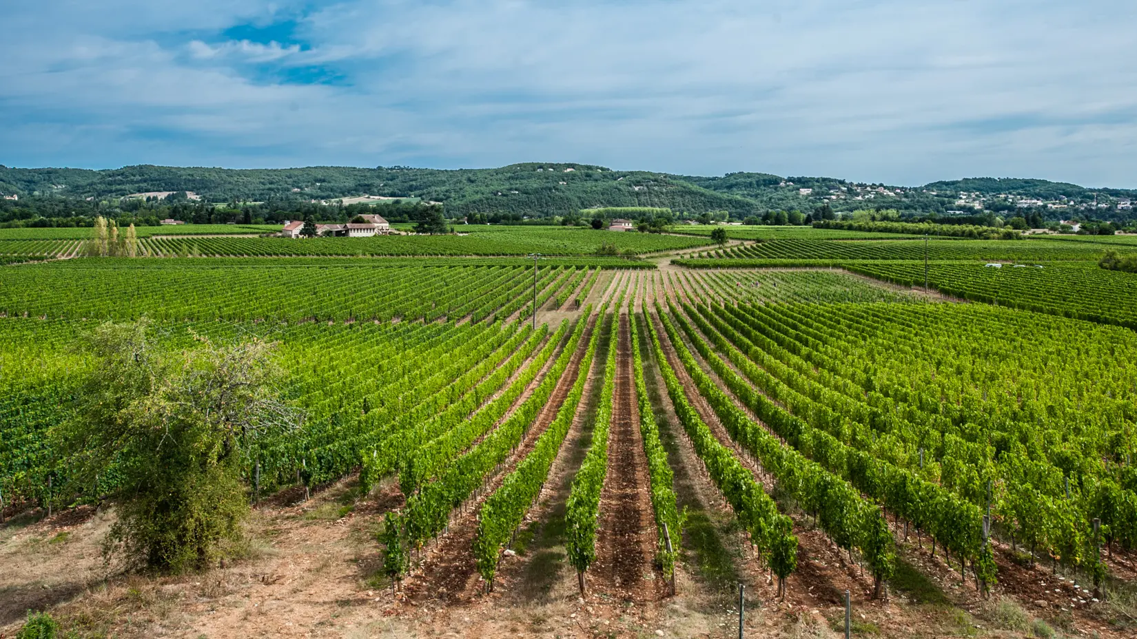 Château Famaey à Puy l'Evêque_05 © Lot Tourisme - C. ORY