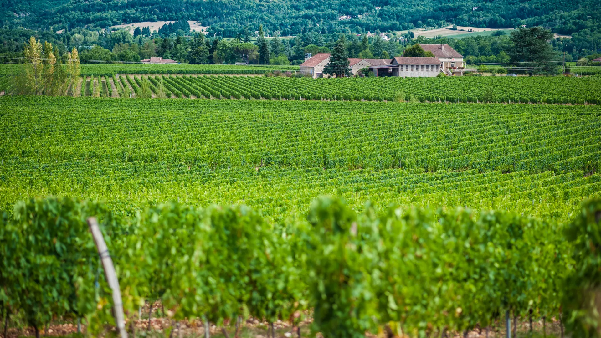 Château Famaey à Puy l'Evêque_06 © Lot Tourisme - C. ORY