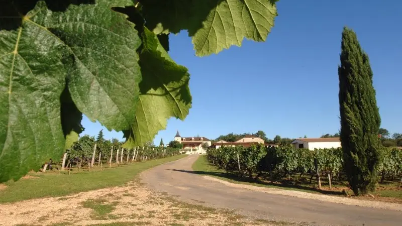 Château Haut Monplaisir 3