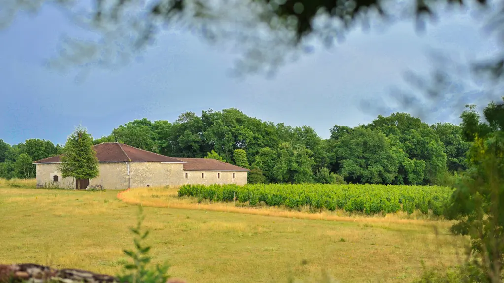 Château Lacapelle-Cabanac - Chai_09 © Lot Tourisme - C. ORY