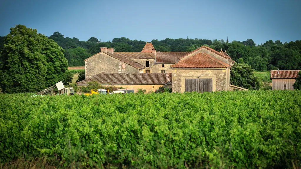 Château Lacapelle-Cabanac - Chai_12 © Lot Tourisme - C. ORY