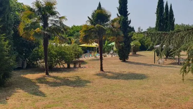 Château de Masclat - parc