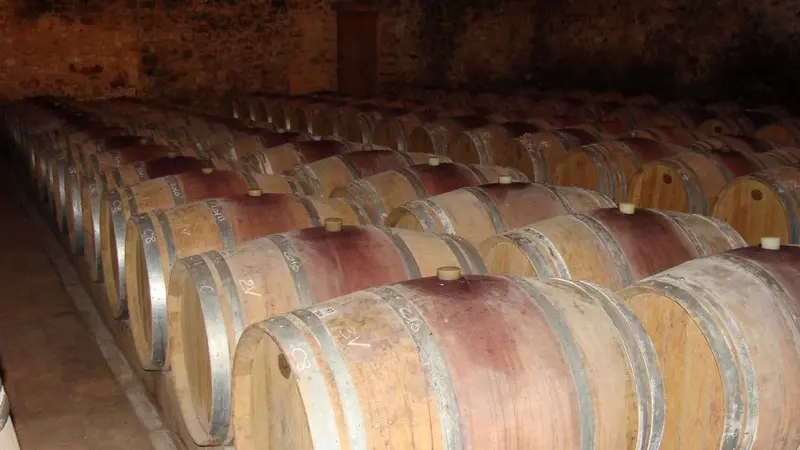 Chateau la Gineste Les barriques