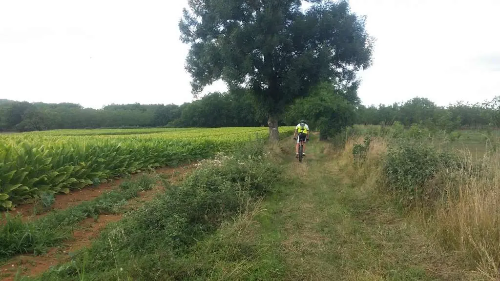 Chauffour - Confins Quercy 5 - VTT