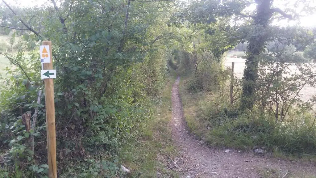 Chauffour - Confins Quercy 6 - VTT