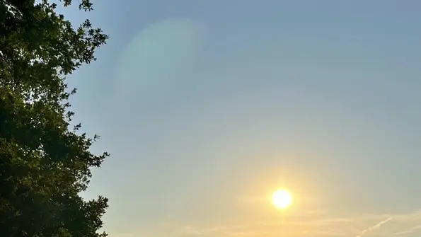 Chai de vinification