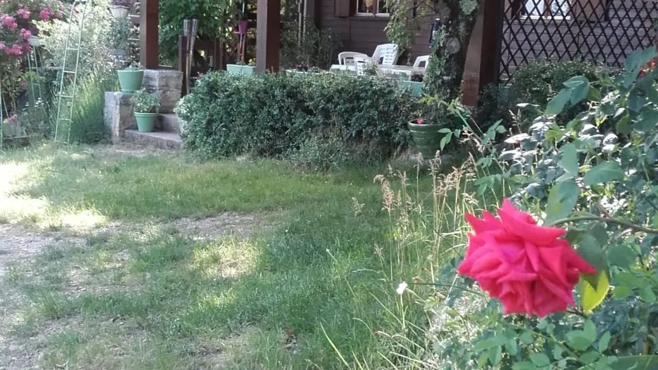 Chalet Merlan façade-jardin