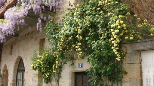 Chambres d'hôtes Le Soleilho