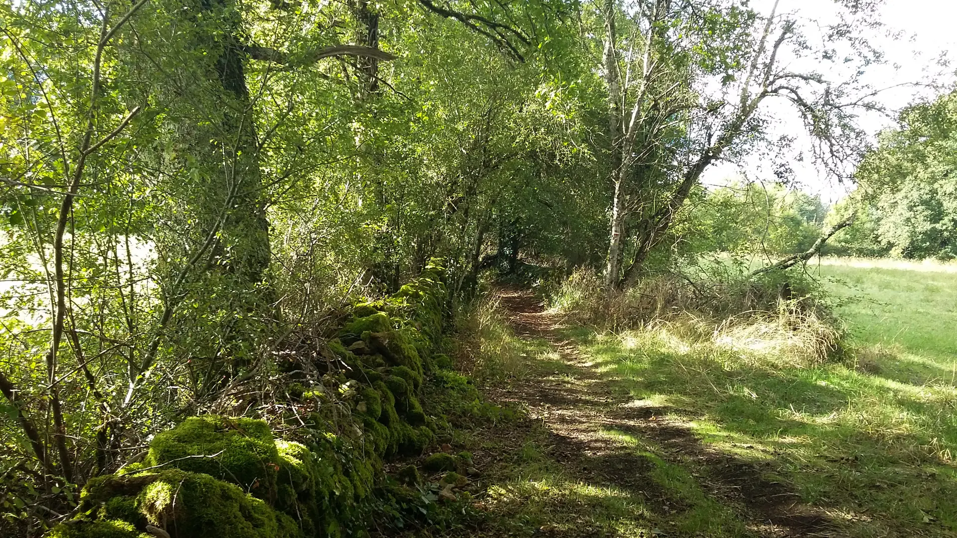 Chemin - circuit le chemin aux deux visages_19 © Lot Tourisme - A. Leconte