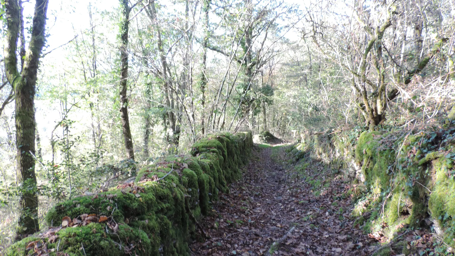 Chemin bien marqué