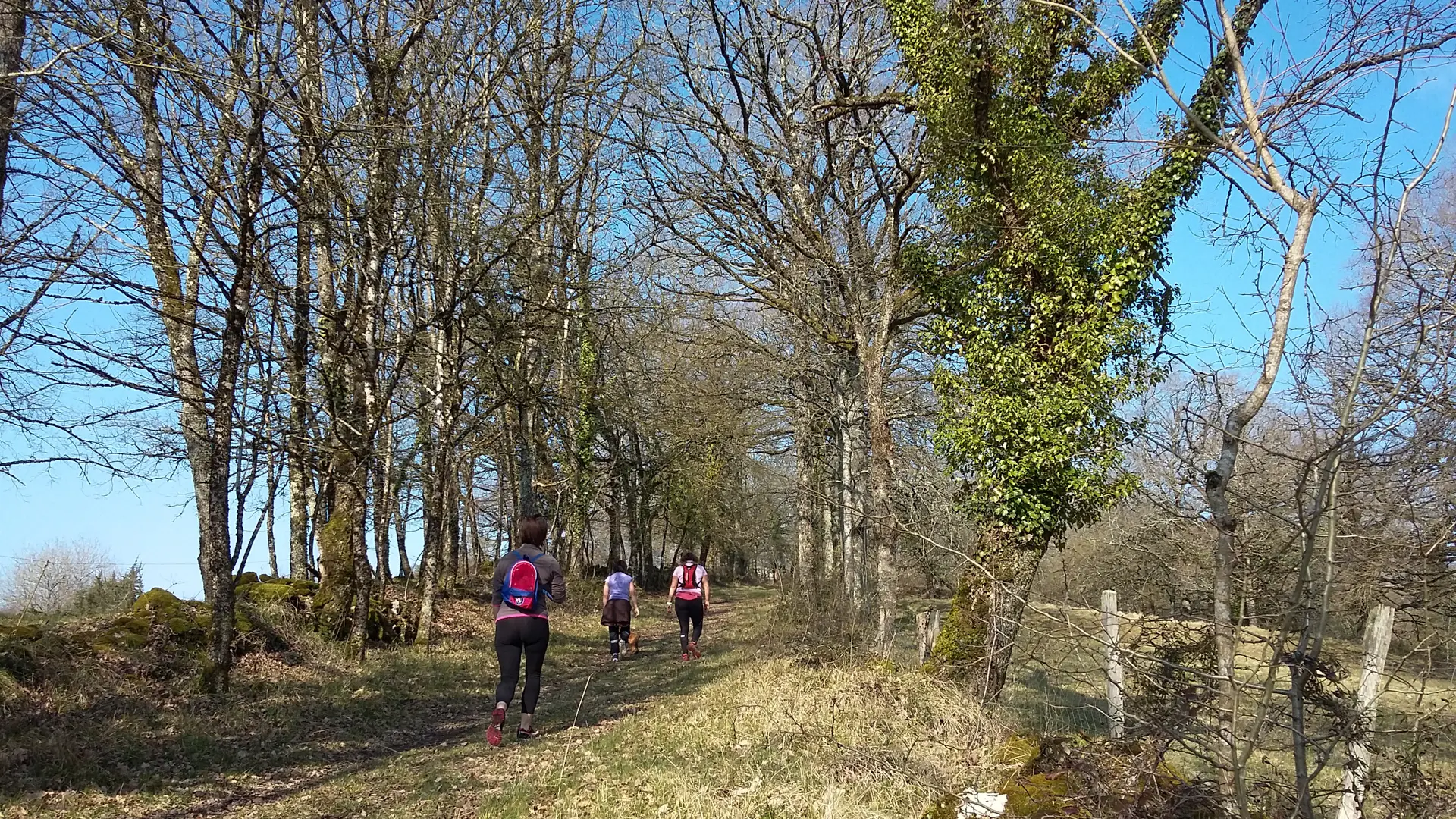 Aynac - Chemin et Muret