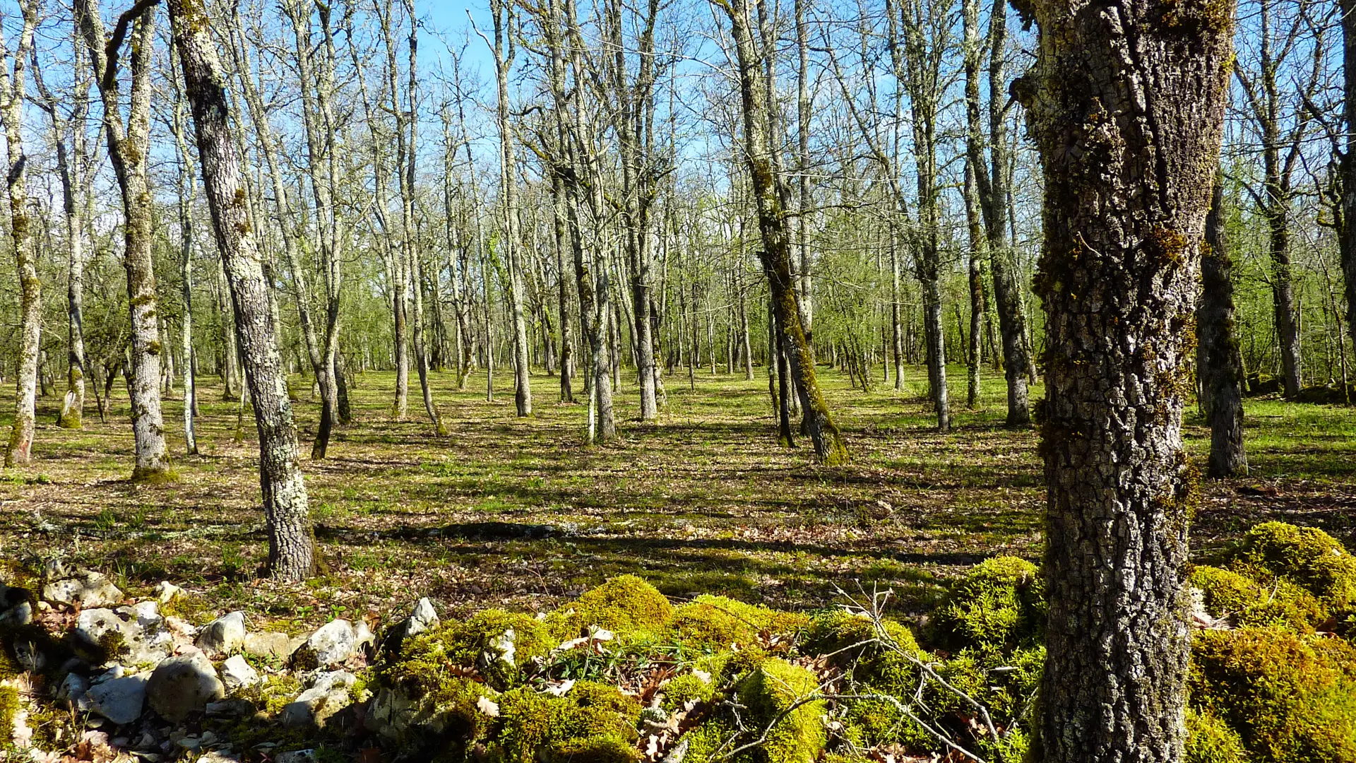 Chemin passant par le pech del Piatzé © Lot Tourisme - C. Sanchez