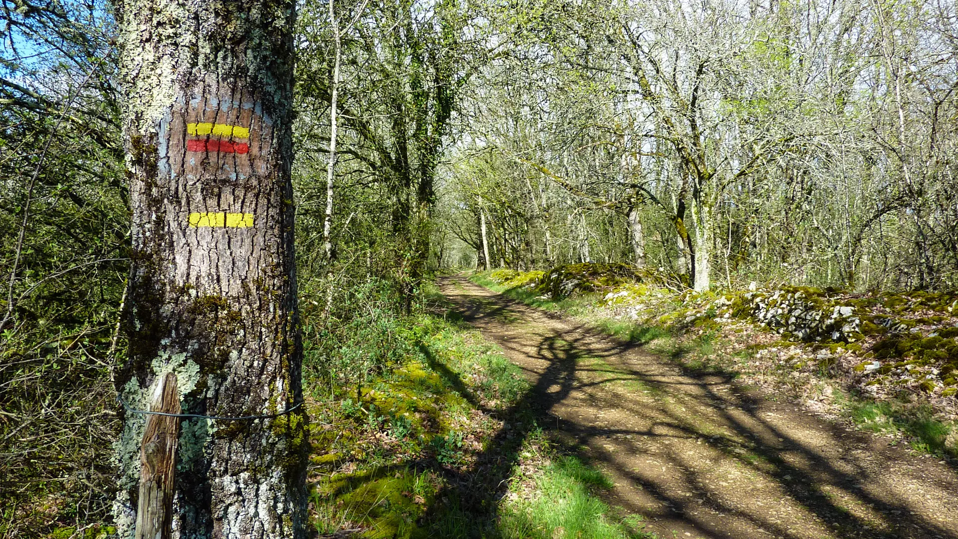 Chemin passant par le pech del Piatzé © Lot Tourisme - C. Sanchez