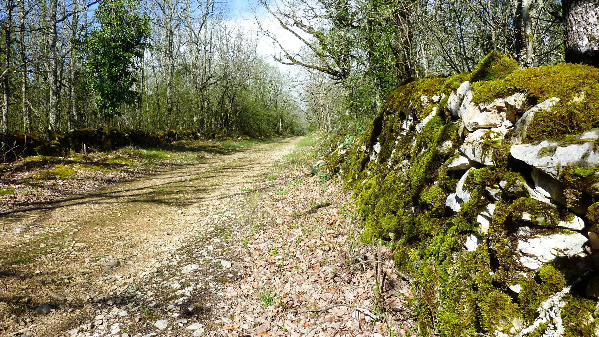 Chemin passant par le pech del Piatzé © Lot Tourisme - C. Sanchez