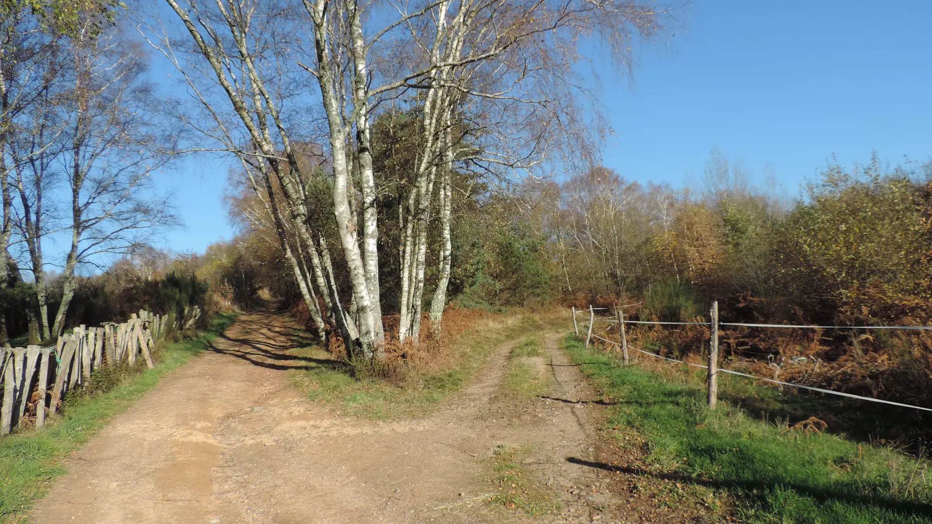 Chemins en fourche