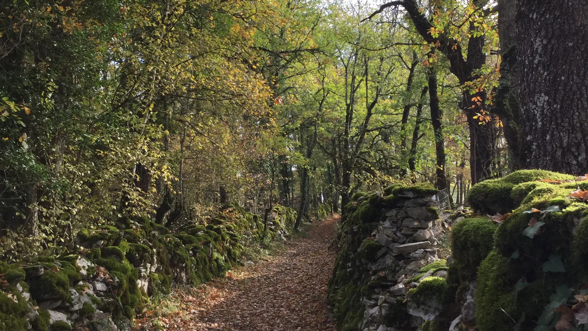 Circuit Les dolmens de Miers - chemins - OTVD Gloria Lafarge