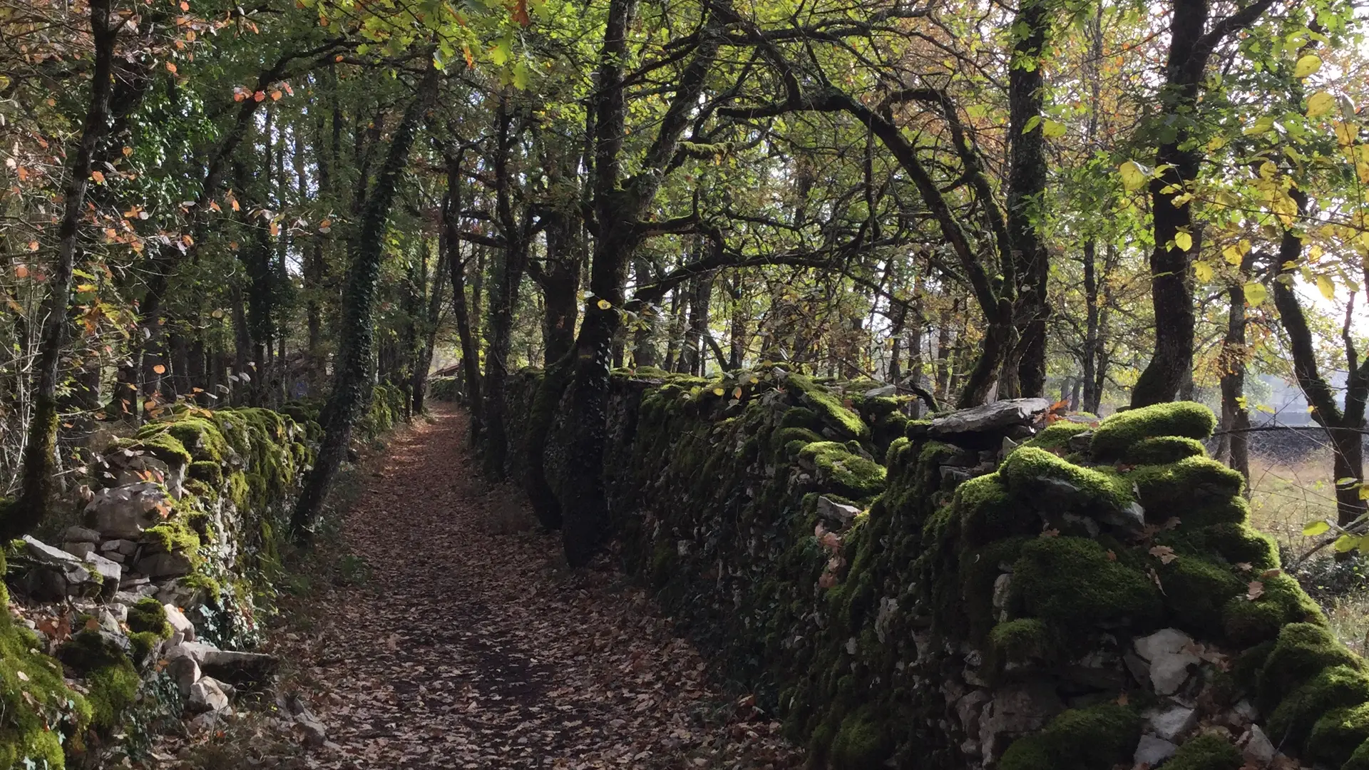 Circuit Les dolmens de Miers - murets et chemin -OT VD Gloria Lafarge