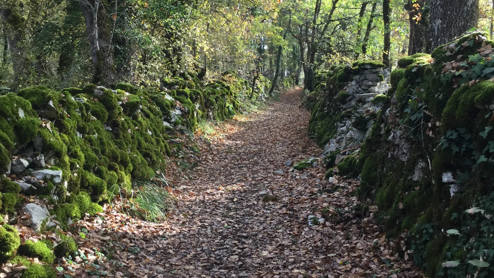 Circuit Les dolmens de Miers - sentiers - OT VD Gloria Lafarge