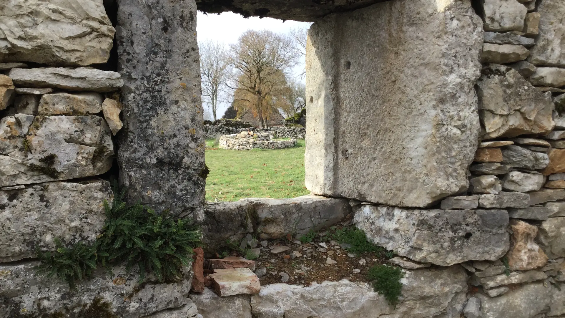 Circuit Les dolmens de Miers 3 - OTVD Gloria Lafarge