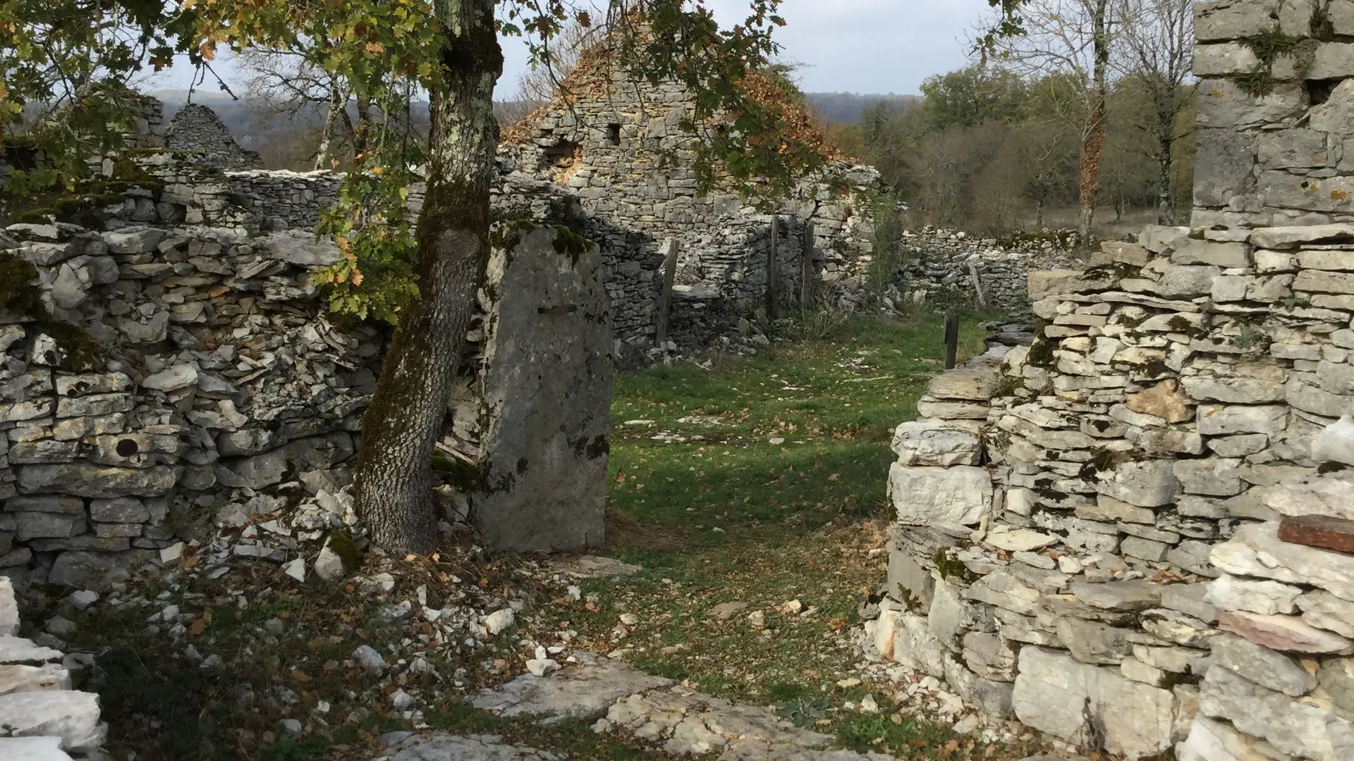 Circuit Les dolmens de Miers 4 - OTVD Gloria Lafarge