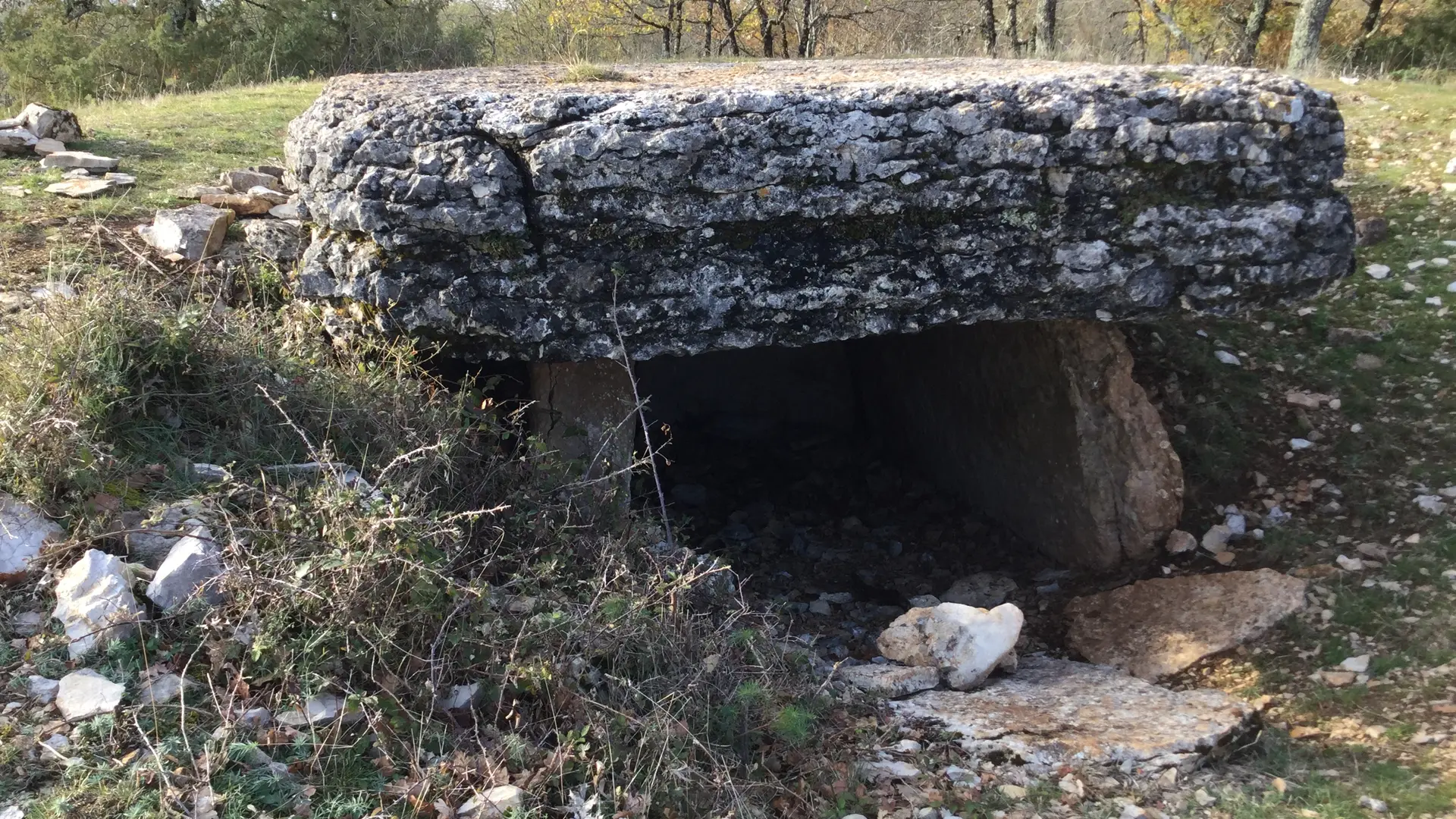 Circuit Les dolmens de Miers 8 - OT VD Gloria Lafarge