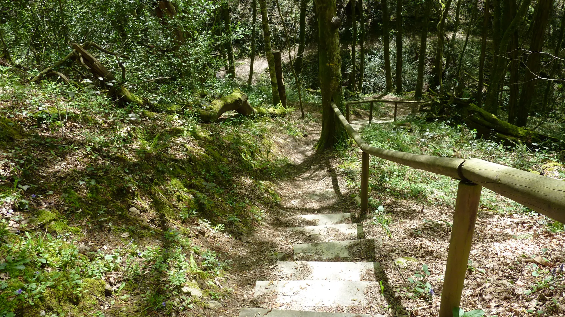 Circuit aménagé du sentier art et nature_13 © Lot Tourisme - C. Sanchez