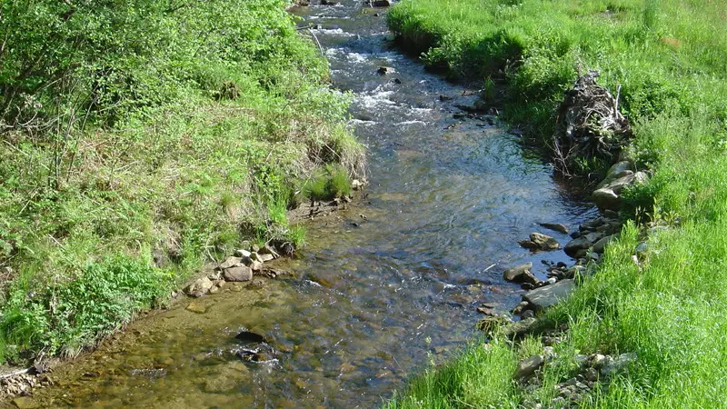 Sousceyrac : Ruisseau Le Cayla