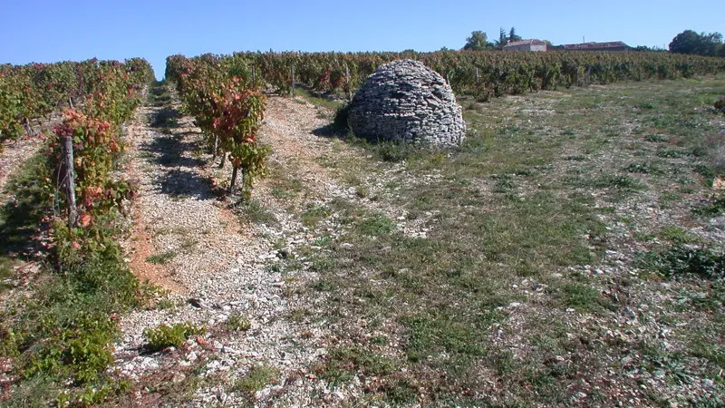 Trespoux Rassiels : Abri en Pierres Sèches sur le Vignoble