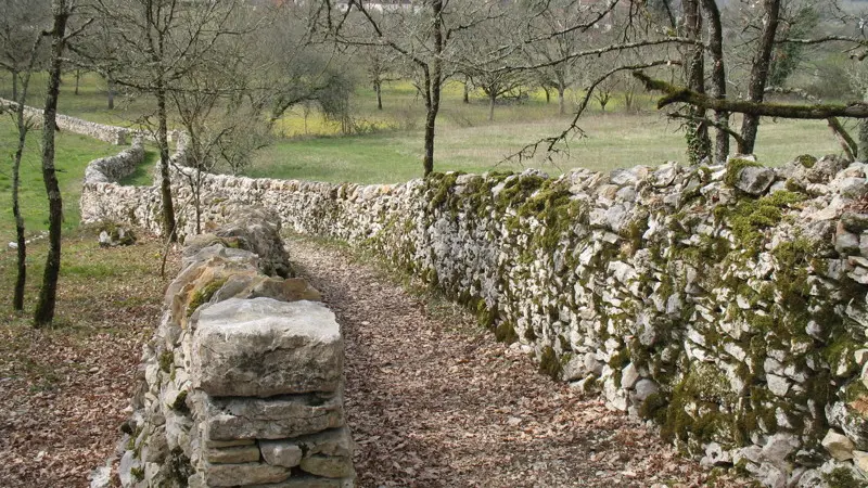 Floirac : Chemin et Murets de Pierres Sèches