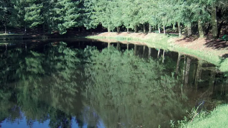 Latronquière : Etang du Roc