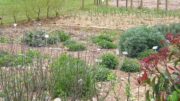 Jardin Bourian
