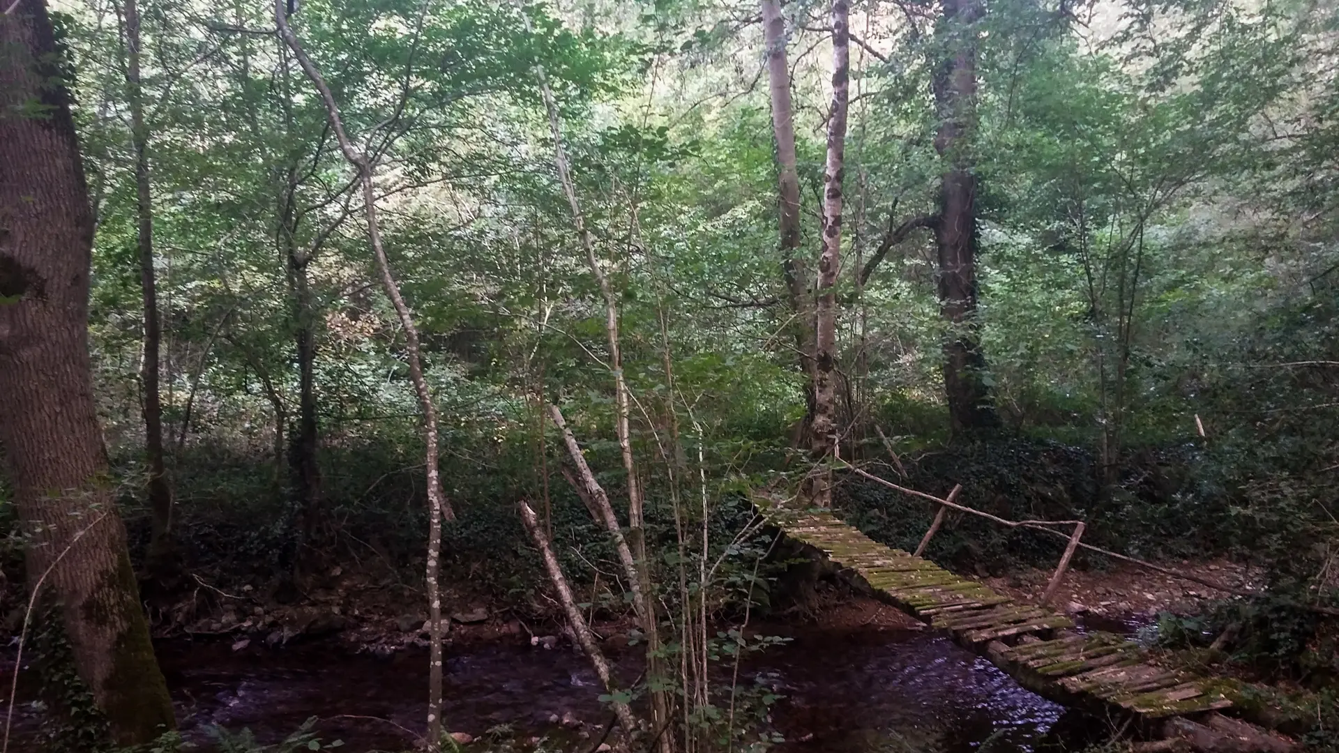 Circuit de la Vallée Heureuse_05 © Lot Tourisme - A. Leconte