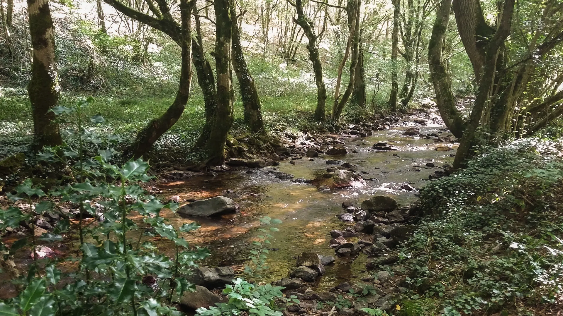 Circuit de la Vallée Heureuse_09 © Lot Tourisme - A. Leconte