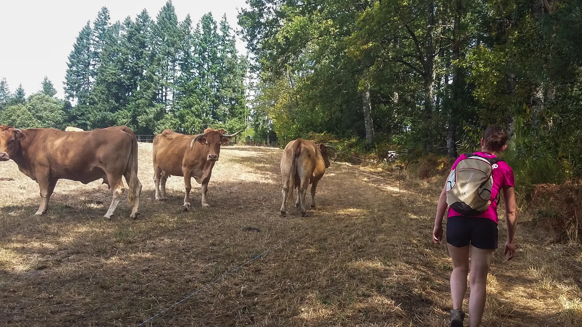 Circuit de la Vallée Heureuse_14 © Lot Tourisme - A. Leconte