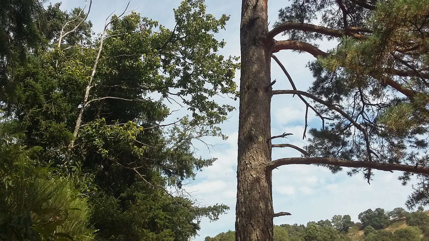 Circuit de la Vallée Heureuse_15 © Lot Tourisme - A. Leconte