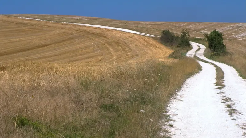 Chemin Blanc
