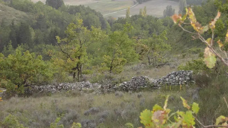 Sur les Hauteurs du Quercy blanc