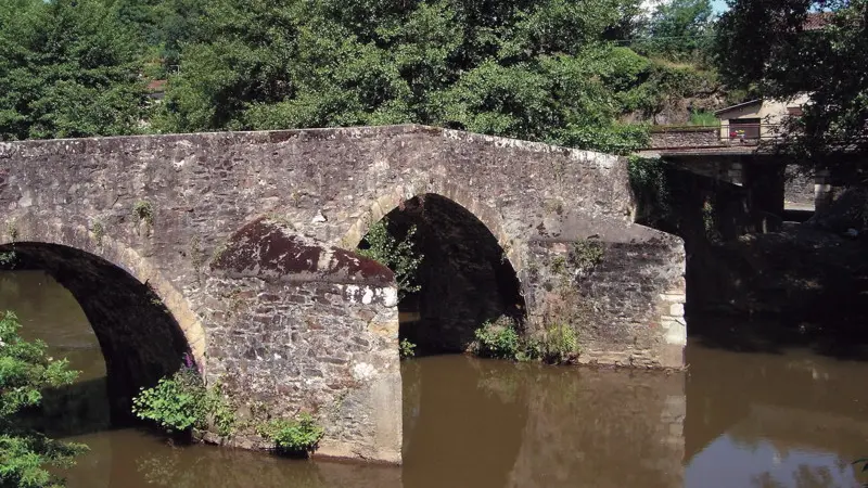 Bagnac Sur Célé - Pont Médiéval