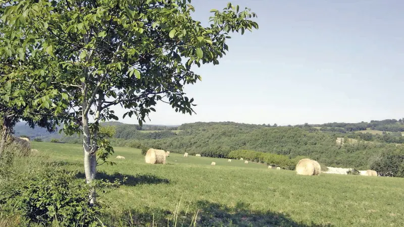 La Vallée du Vert