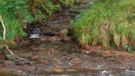 Ruisseau