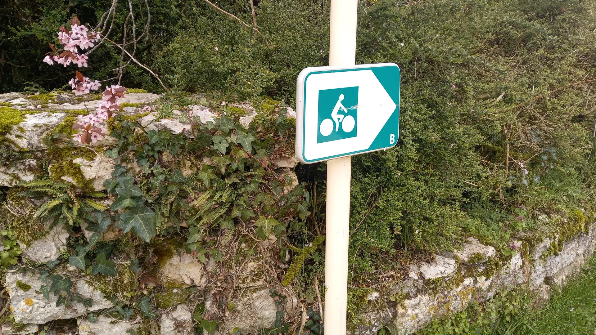Circuit vélo
