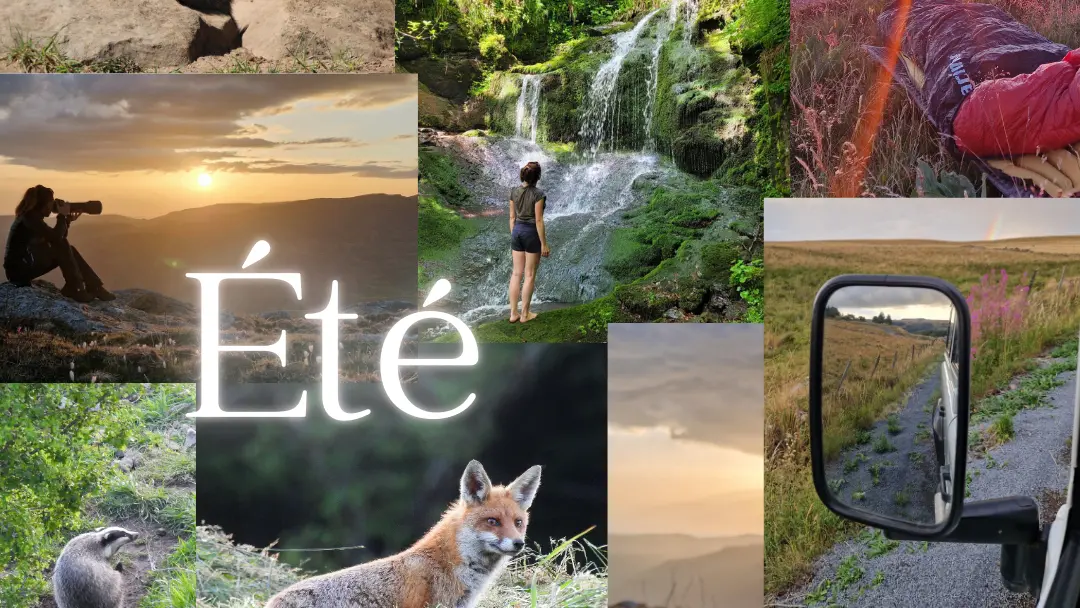 été 2025 avec Mypausenature.fr