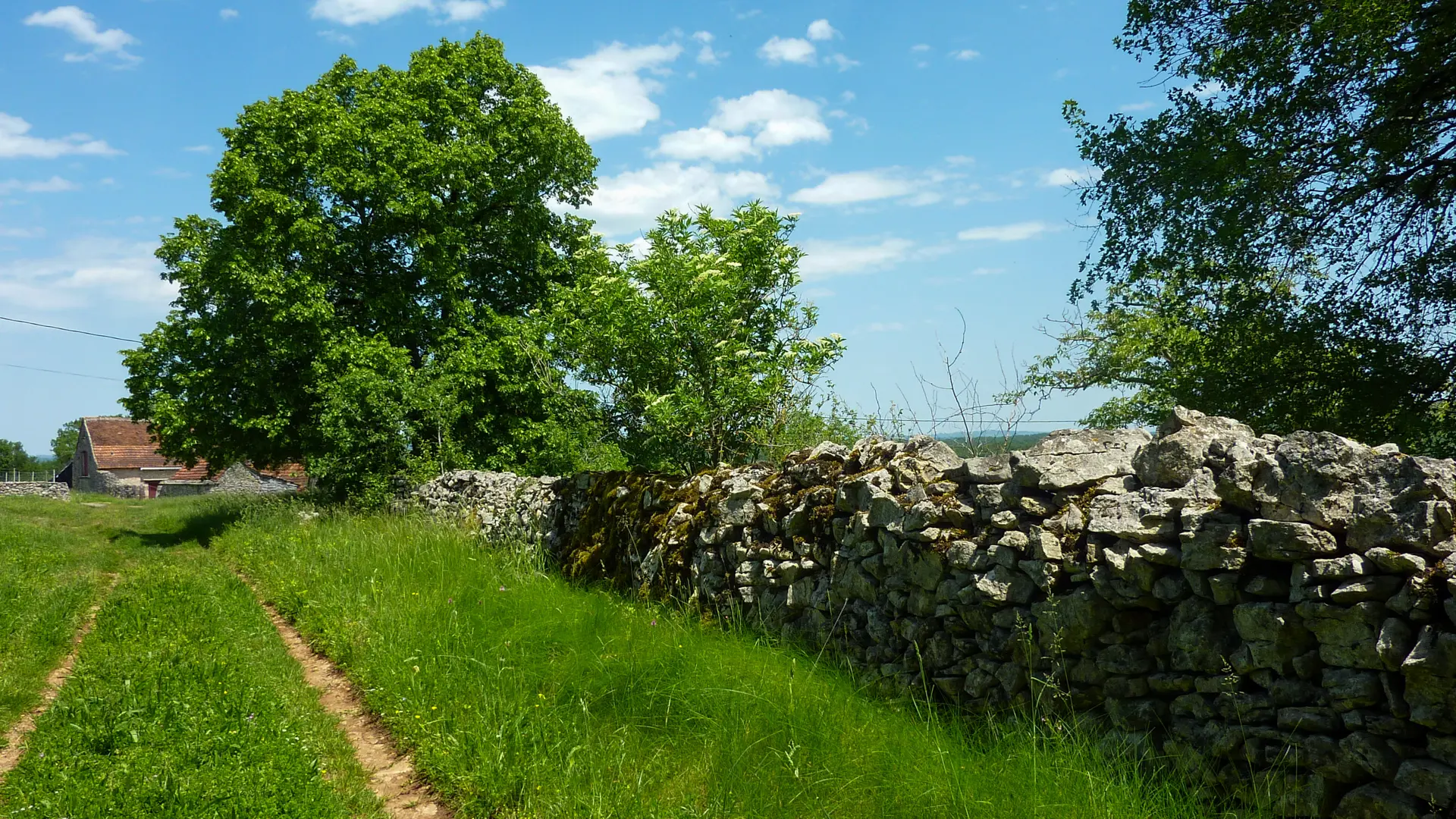 Couybes - Chemin herbeux sur le causse _07 © Lot Tourisme - C. Sanchez