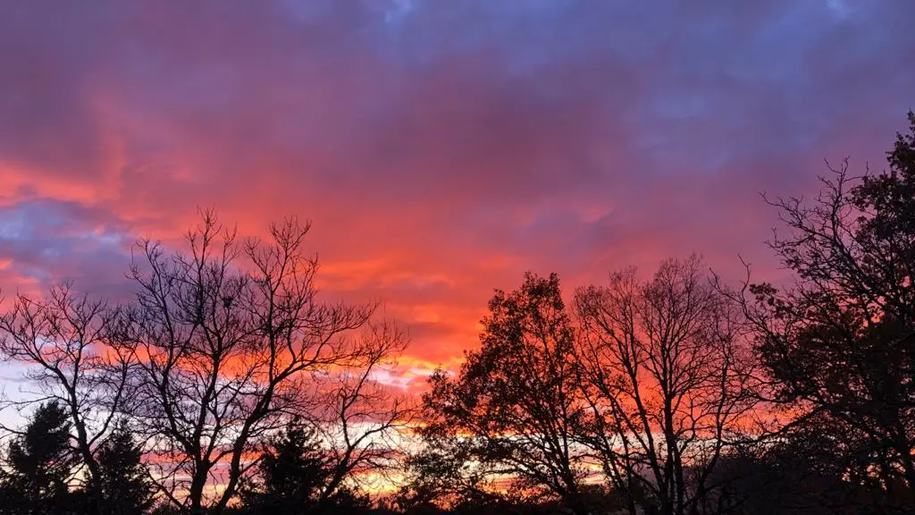 Couché de soleil depuis la propriété