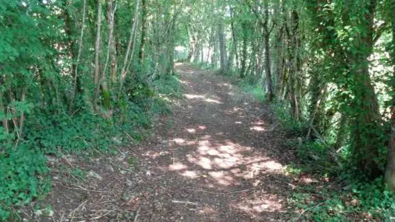 Curemonte - GRPMC 1 - VTT