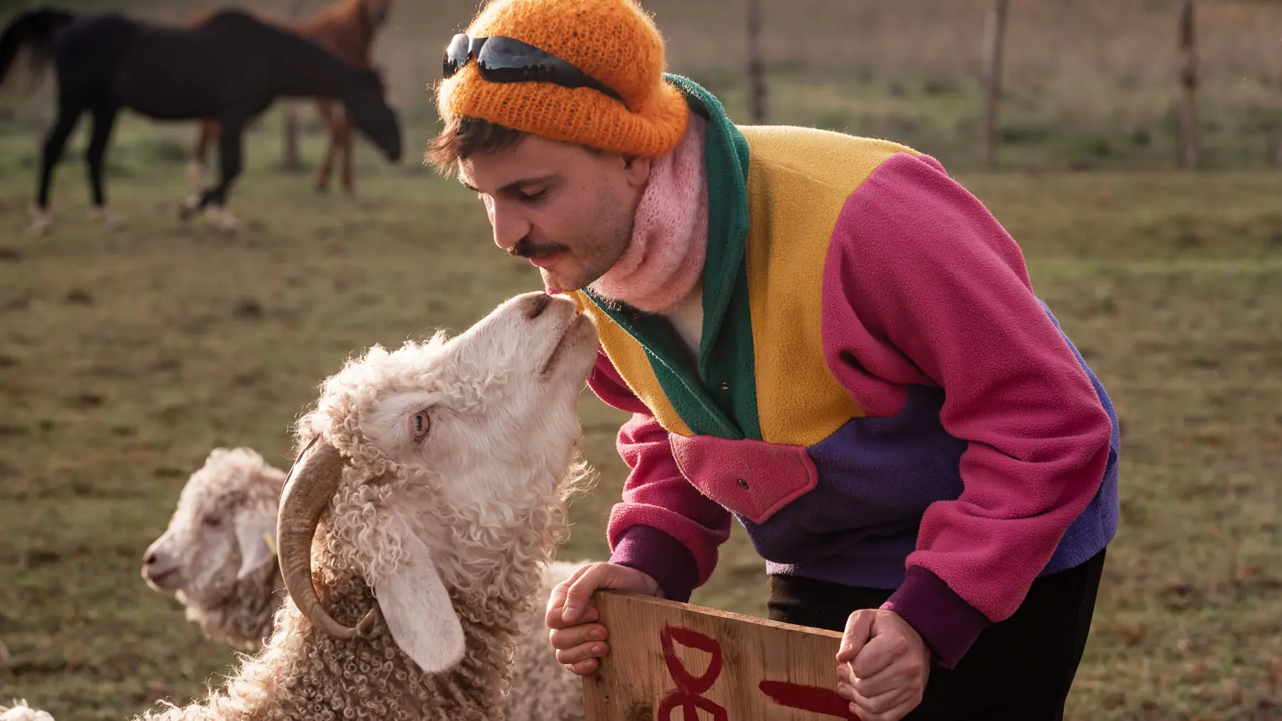 Cassius adore faire des bisous