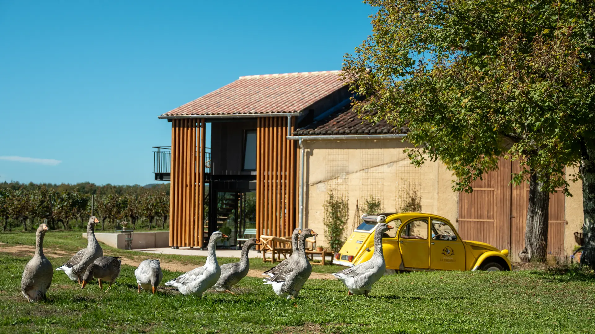 DOMAINE_LA_PAGANIE_SHOOTING_10_2025_IVONIS_HD-17