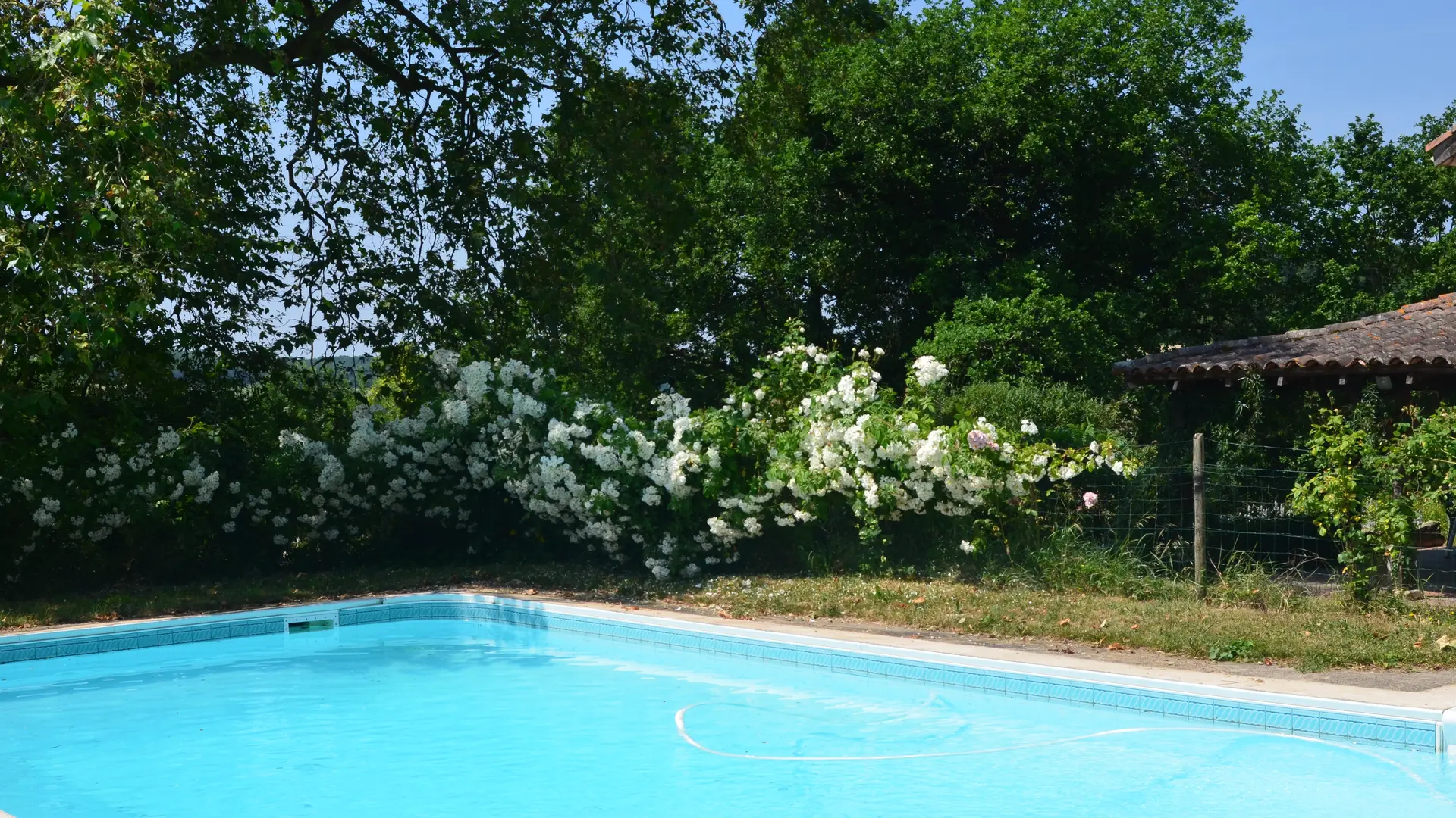 la piscine